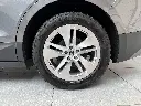 IMG_7329.webp