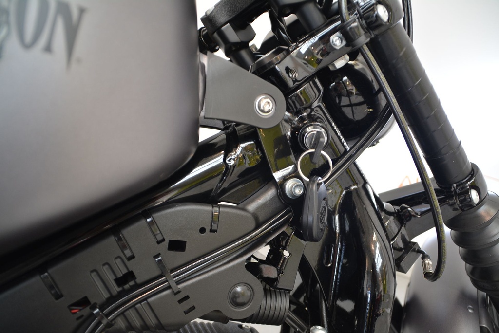 Harley-Davidson IRON 883